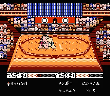 Terao no Dosukoi Oozumou (Japan) screen shot game playing